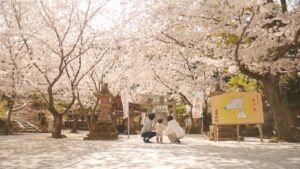 日の峯神社の桜