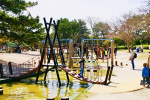海の中道海浜公園 