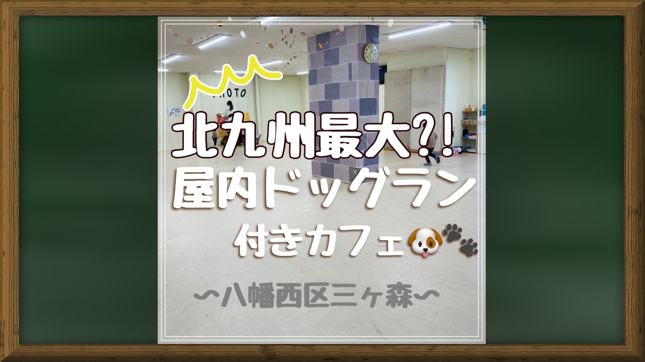 北九州最大 屋内ドッグラン付きカフェ 三ヶ森のcross456